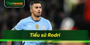 Tiểu sử Rodri