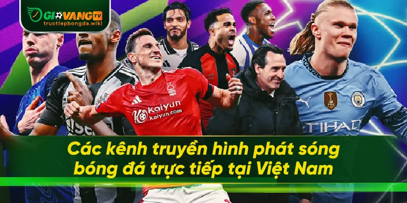 Các kênh truyền hình phát sóng bóng đá trực tiếp tại Việt Nam