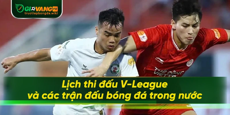Lịch thi đấu V-League và các trận đấu bóng đá trong nước