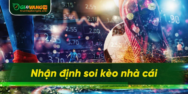 Nhận định soi kèo nhà cái