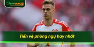 tiền vệ phòng ngự hay nhất
