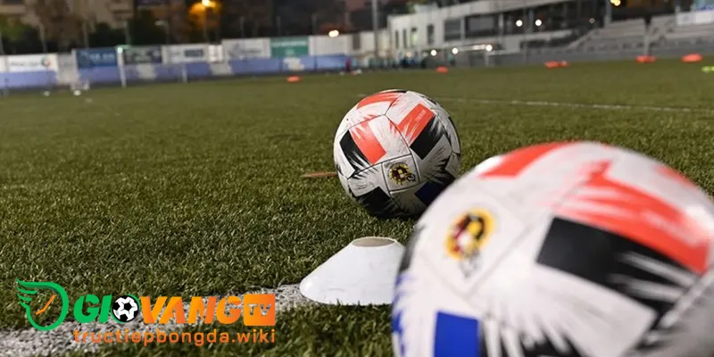 Kèo 1 1/4 là gì? Có dễ chơi không?