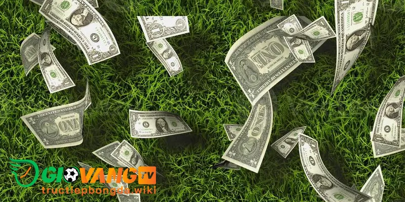 Kinh nghiệm bắt kèo Total Bookings vào tiền là trúng